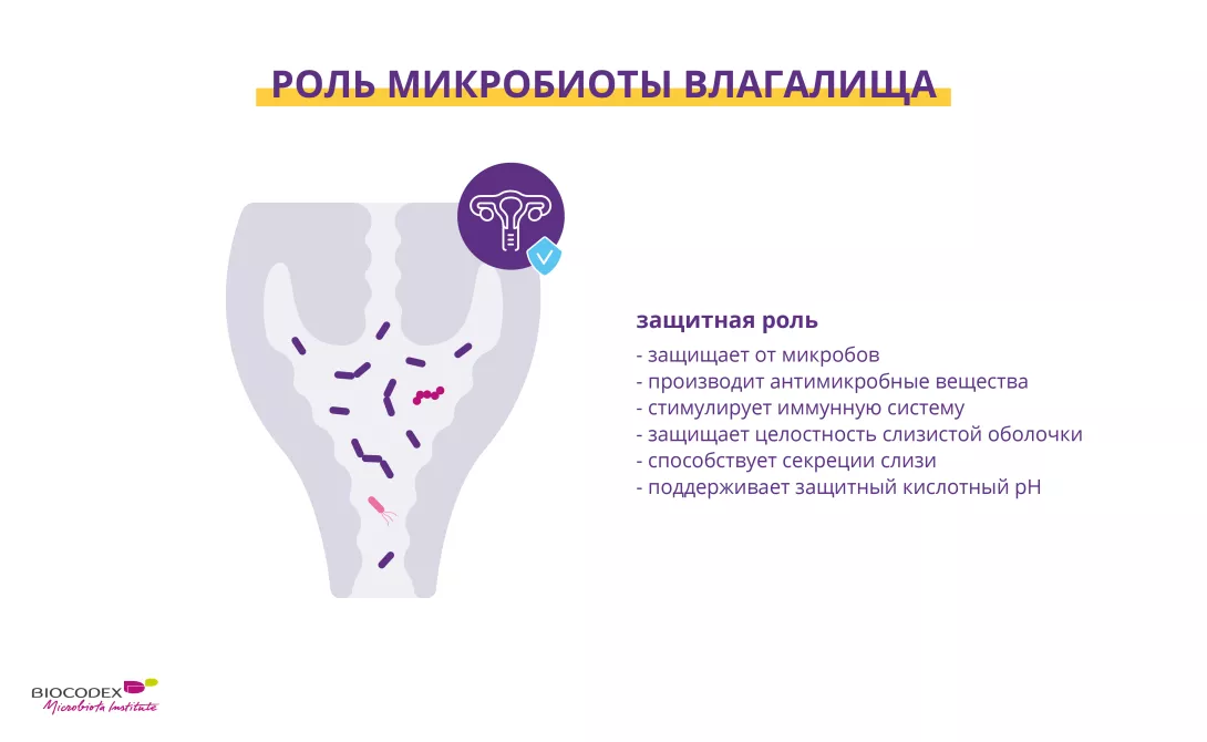 Сдайте анализ на биоценоз влагалища в B-Healthy Clinic, Харьков